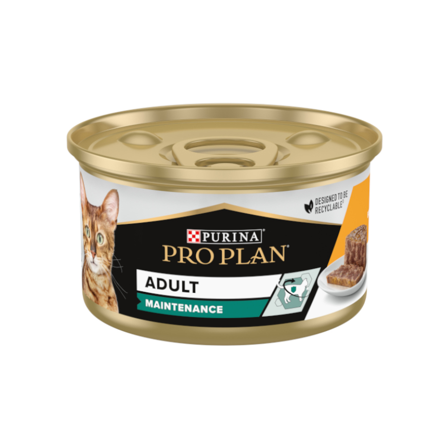 24 latas x 85 g Pro Plan Adult Maintenance Terrina rico en pollo para gatos ¡Pack ahorro!